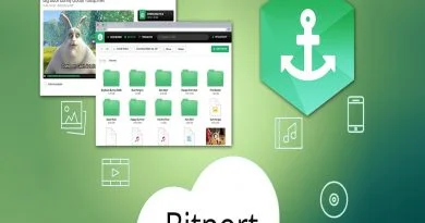 Bitport review